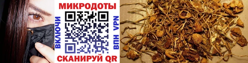 Купить закладки  Лебедянь  Галлюциногенные грибы мицелий 