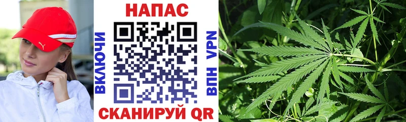 Канабис планчик  Купить где  Лебедянь 
